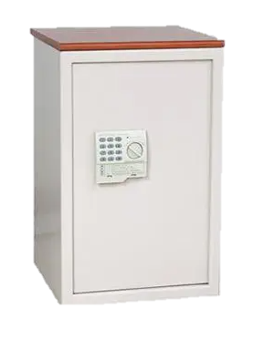 Security cabinet